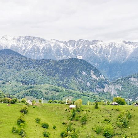 Alpine Escape Studios Măgura Zewnętrze zdjęcie