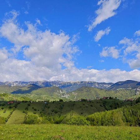 Alpine Escape Studios Măgura Zewnętrze zdjęcie
