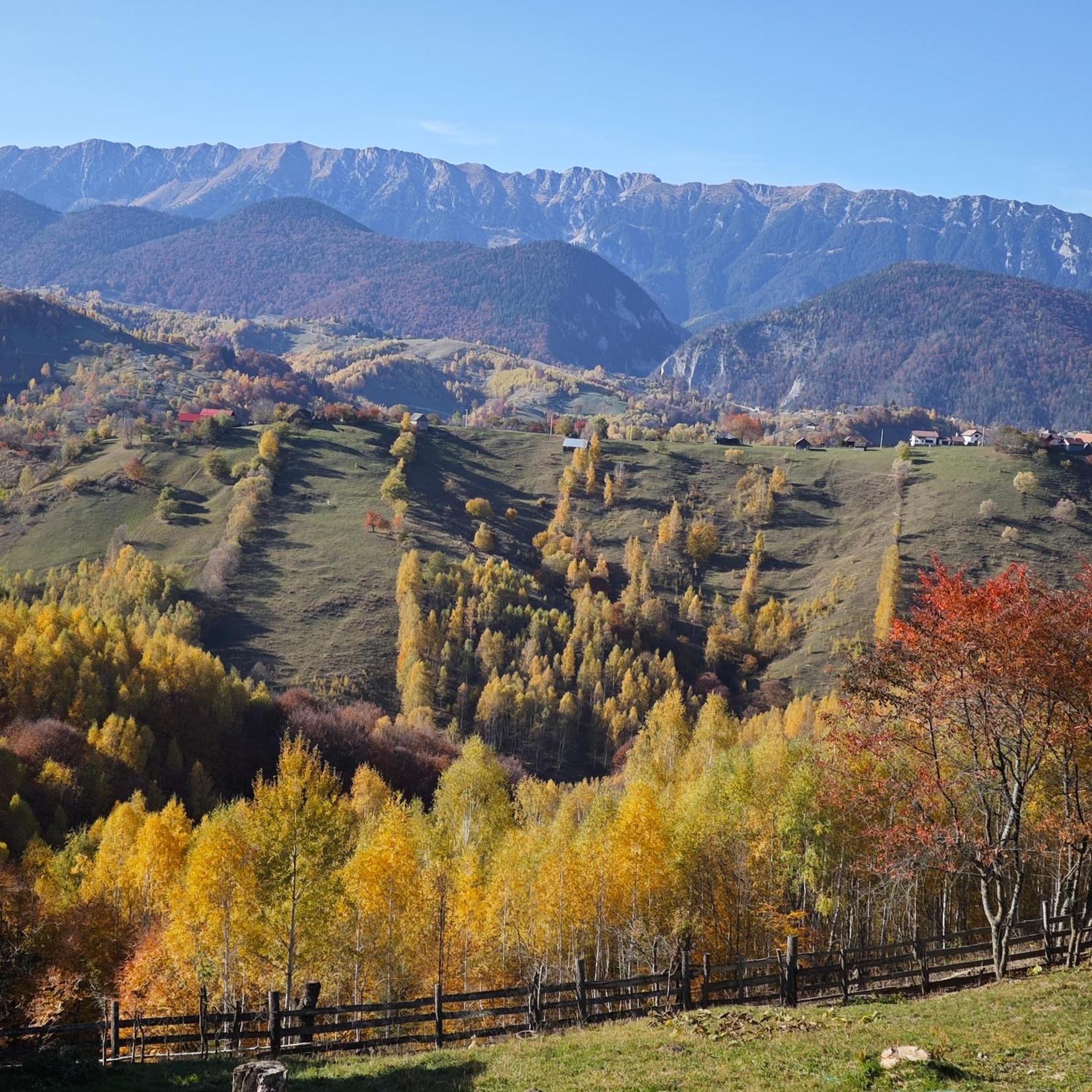 Alpine Escape Studios Măgura Zewnętrze zdjęcie