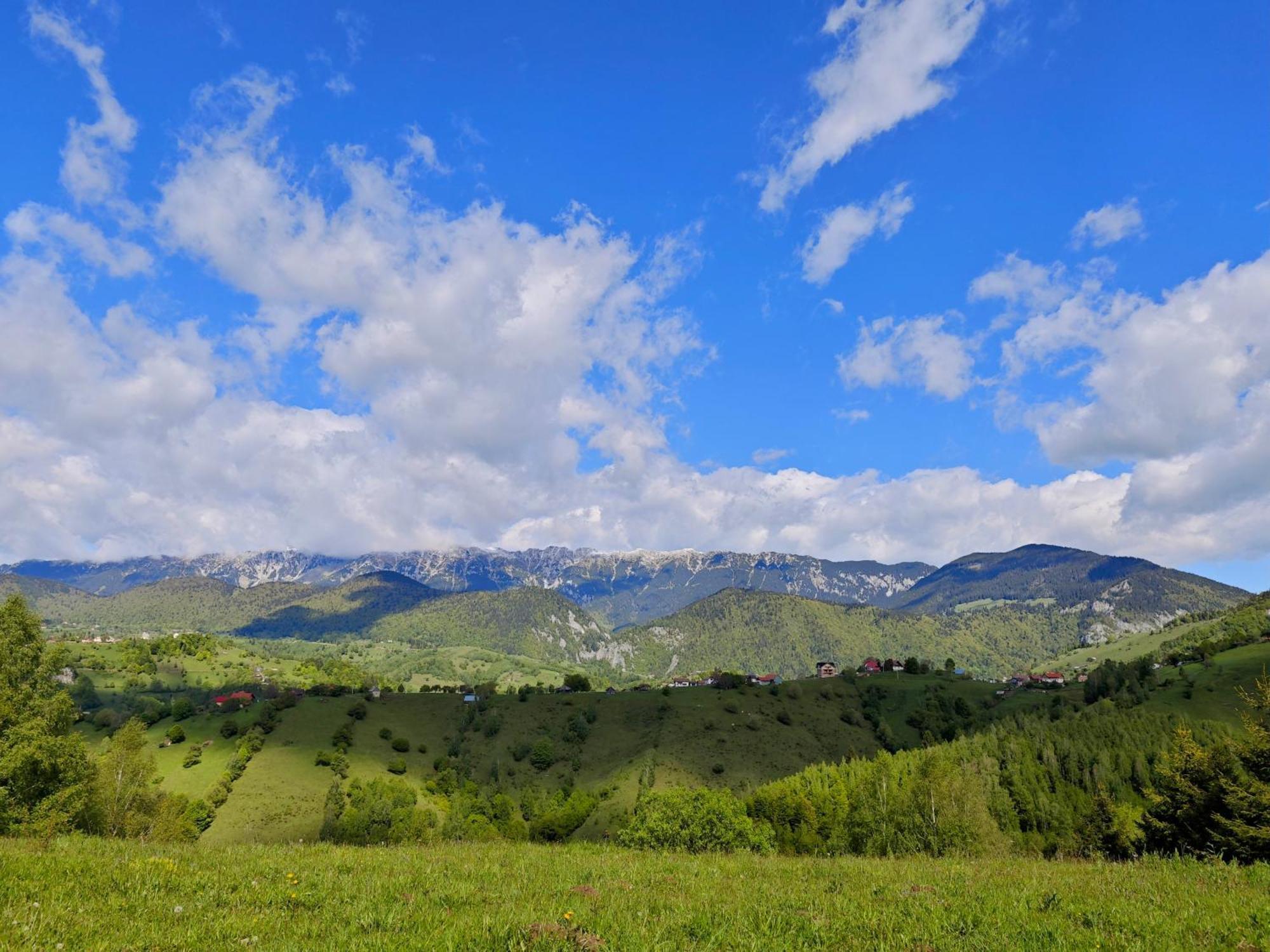 Alpine Escape Studios Măgura Zewnętrze zdjęcie